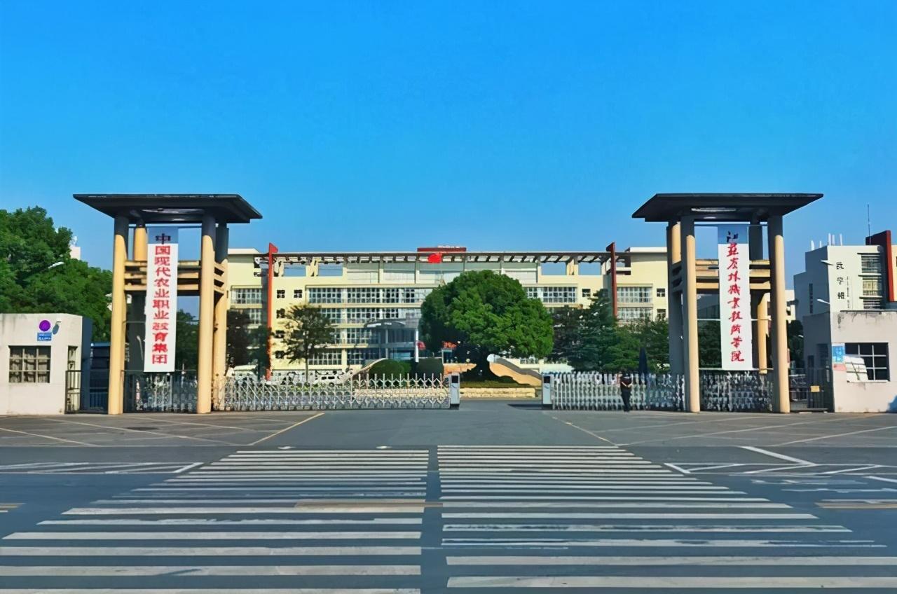 天津职业大学 新校区图片