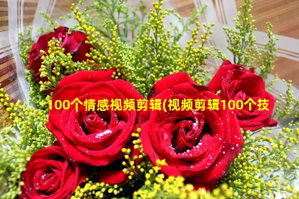 100个情感视频剪辑(视频剪辑100个技巧)