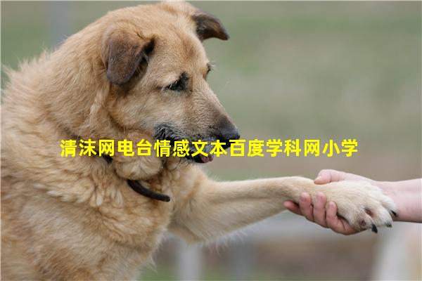 清沫网电台情感文本百度学科网小学