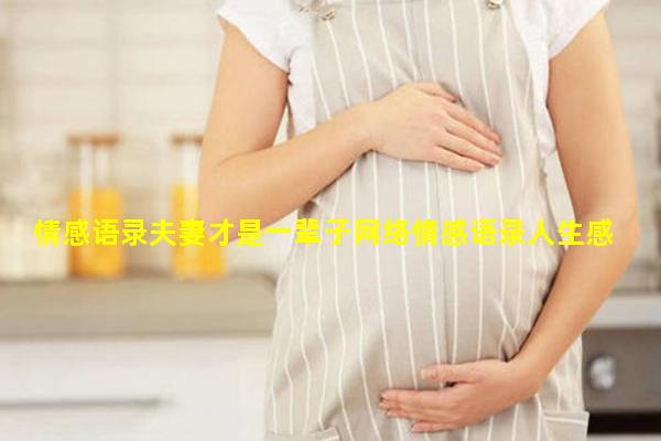 情感语录夫妻才是一辈子网络情感语录人生感悟说说