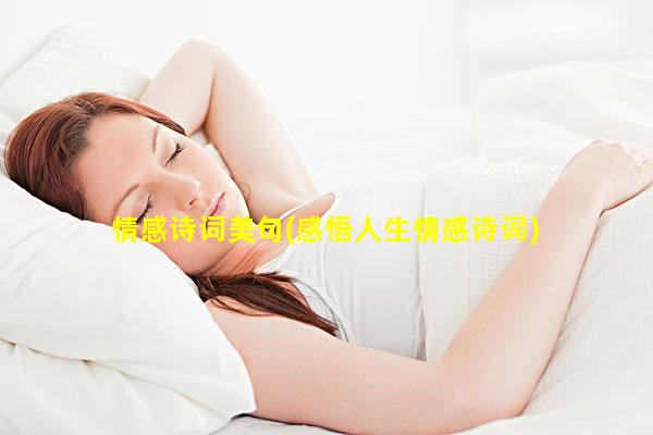 情感诗词美句(感悟人生情感诗词)