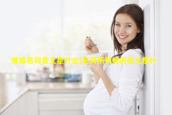 情感名词含义是什么(名词所有格的含义是什么)