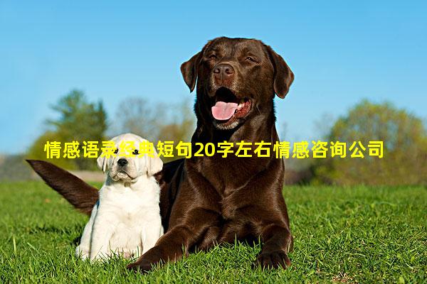 情感语录经典短句20字左右情感咨询公司