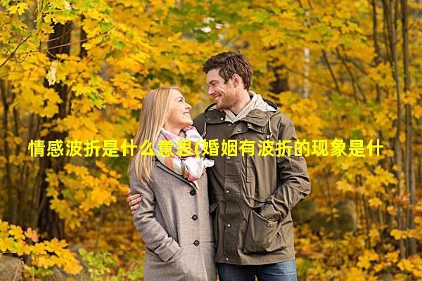 情感波折是什么意思(婚姻有波折的现象是什么意思)