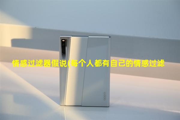 情感过滤器假说(每个人都有自己的情感过滤器)