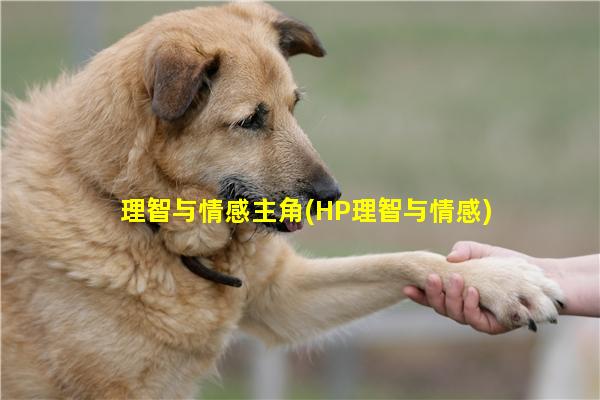 理智与情感主角(HP理智与情感)