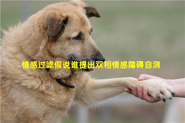 情感过滤假说谁提出双相情感障碍自测