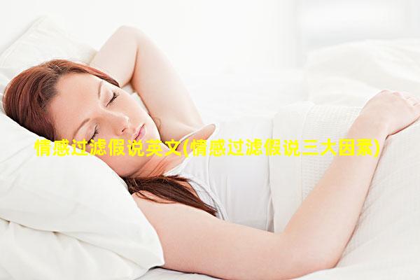 情感过滤假说英文(情感过滤假说三大因素)