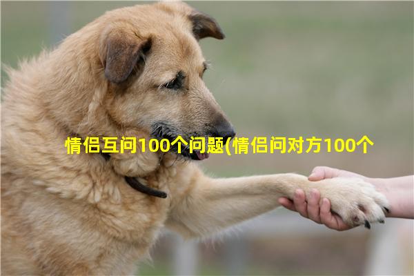 情侣互问100个问题(情侣问对方100个问题)