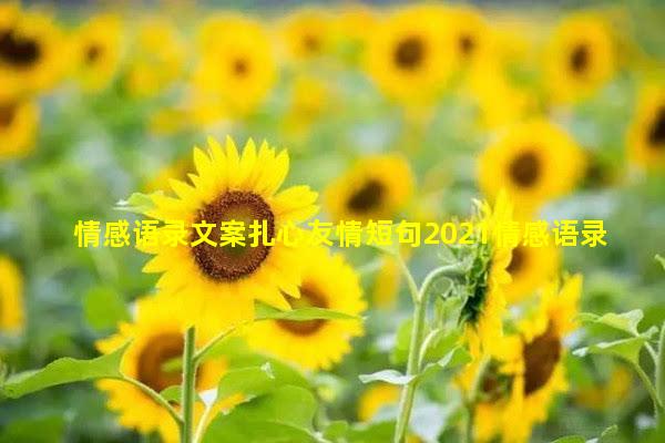 情感语录文案扎心友情短句2021情感语录经典短句