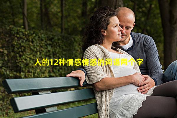 人的12种情感情感的词语两个字