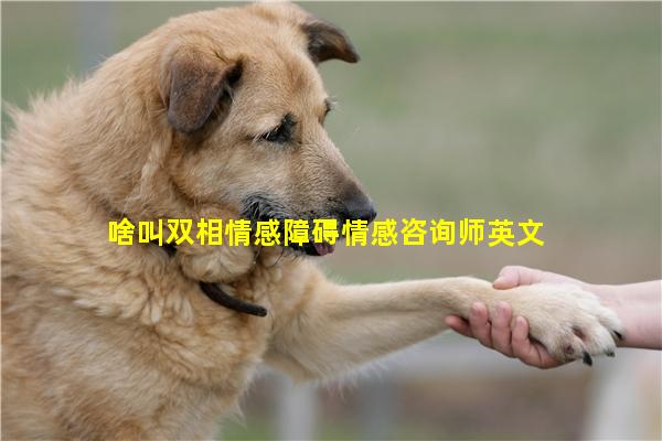 啥叫双相情感障碍情感咨询师英文