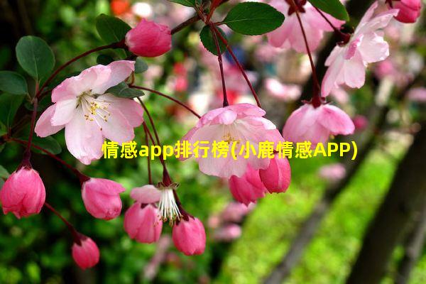 情感app排行榜(小鹿情感APP)