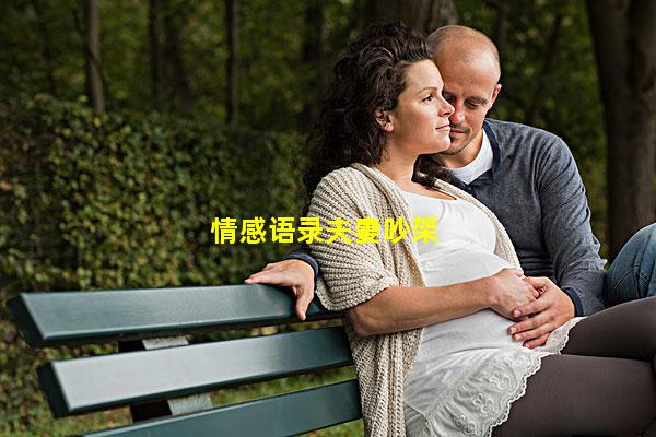 情感语录夫妻吵架