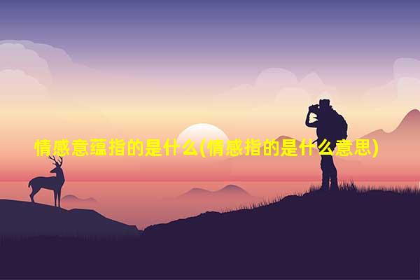 情感意蕴指的是什么(情感指的是什么意思)