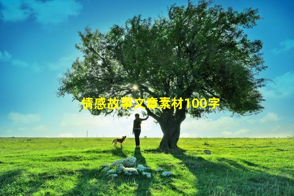 情感故事文章素材100字