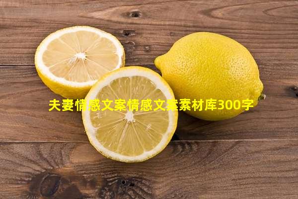 夫妻情感文案情感文案素材库300字