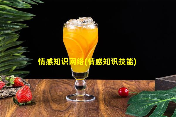 情感知识网络(情感知识技能)