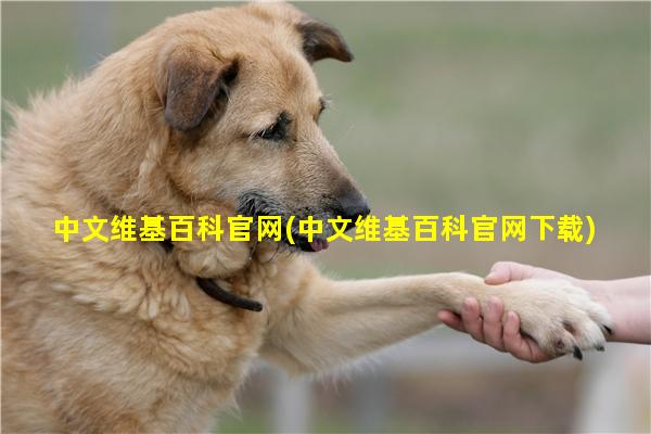 中文维基百科官网(中文维基百科官网下载)