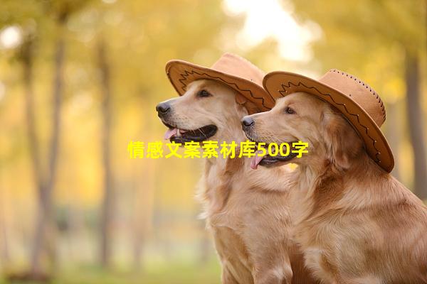 情感文案素材库500字