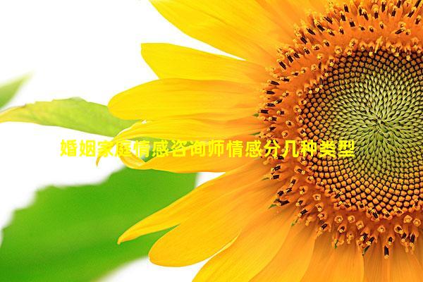 婚姻家庭情感咨询师情感分几种类型