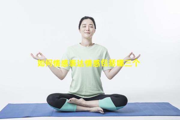 如何情感表达情感包括哪三个