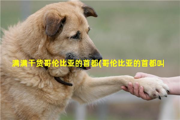 满满干货哥伦比亚的首都(哥伦比亚的首都叫什么名字)