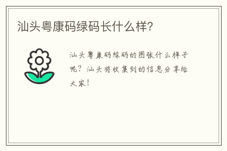 汕头粤康码绿码长什么样？