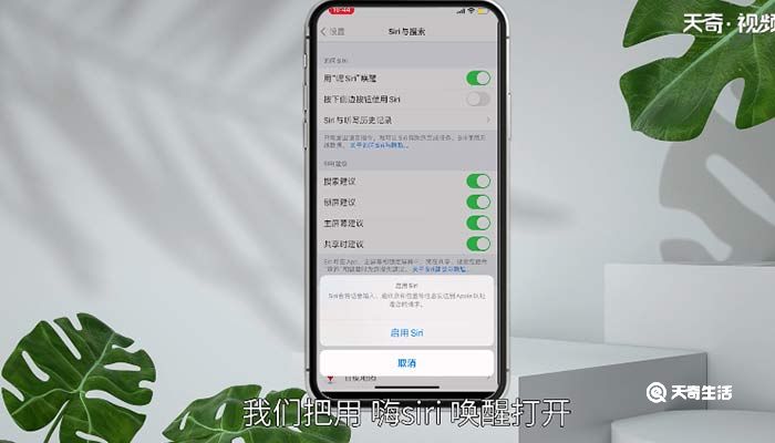 苹果siri怎么设置主人的声音 怎么更改siri主人的声音