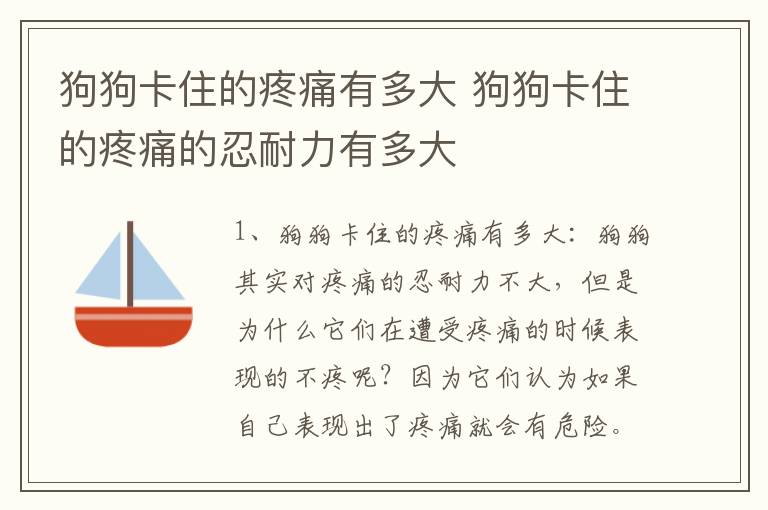 狗狗卡住的疼痛有多大 狗狗卡住的疼痛的忍耐力有多大