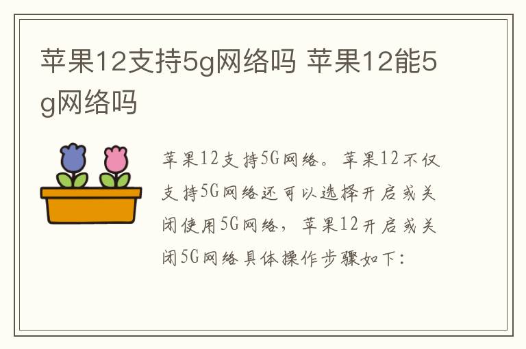 苹果12支持5g网络吗 苹果12能5g网络吗