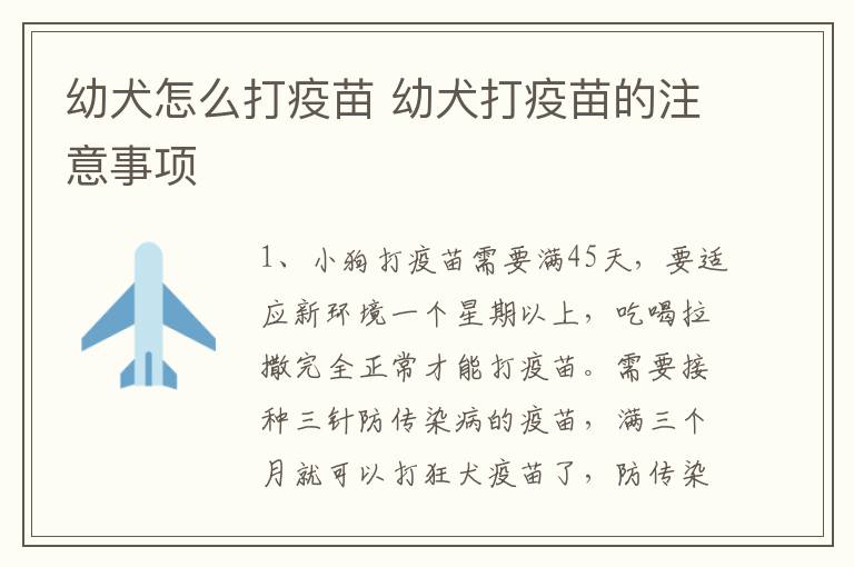 幼犬怎么打疫苗 幼犬打疫苗的注意事项