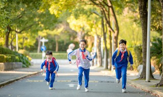 孩子在学校内打架怎么处理（孩子在学校内打架怎么处理伤口）