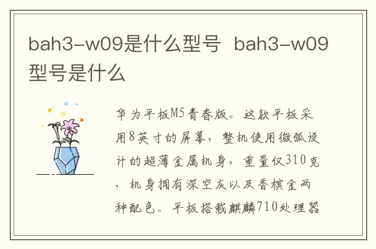 bah3-w09是什么型号  bah3-w09型号是什么