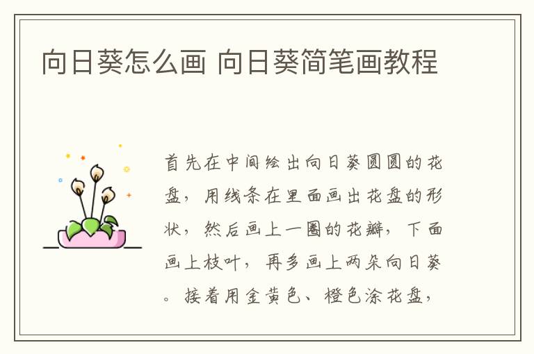 向日葵怎么画 向日葵简笔画教程