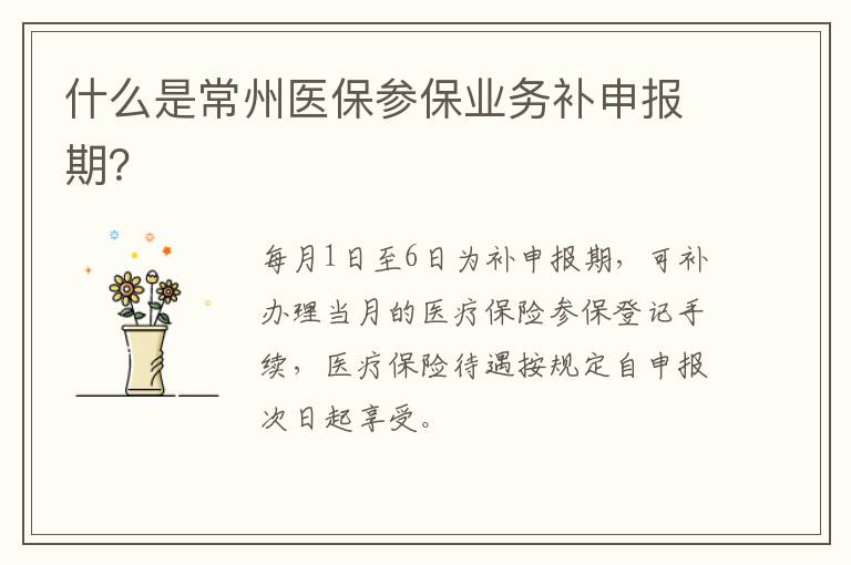 什么是常州医保参保业务补申报期？