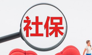 社保账户余额怎么查询 怎么查询社保账户余额