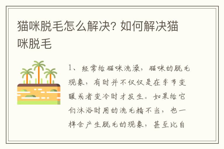 猫咪脱毛怎么解决? 如何解决猫咪脱毛