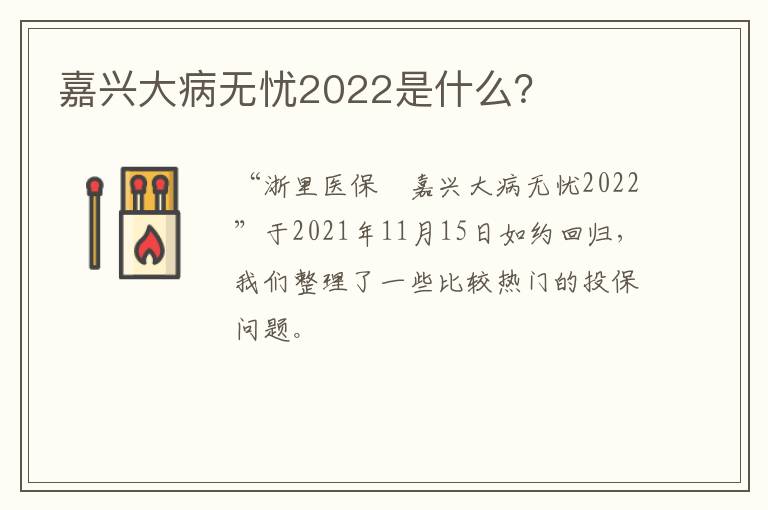 嘉兴大病无忧2022是什么？