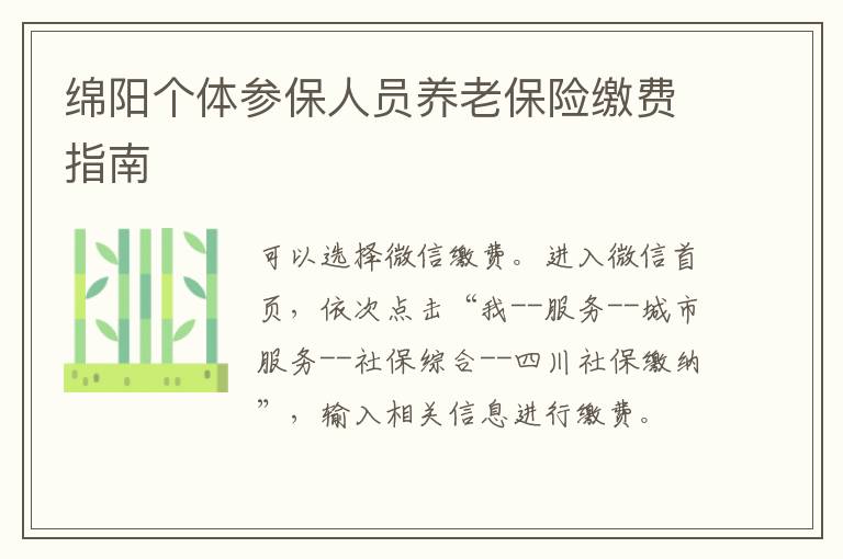 绵阳个体参保人员养老保险缴费指南