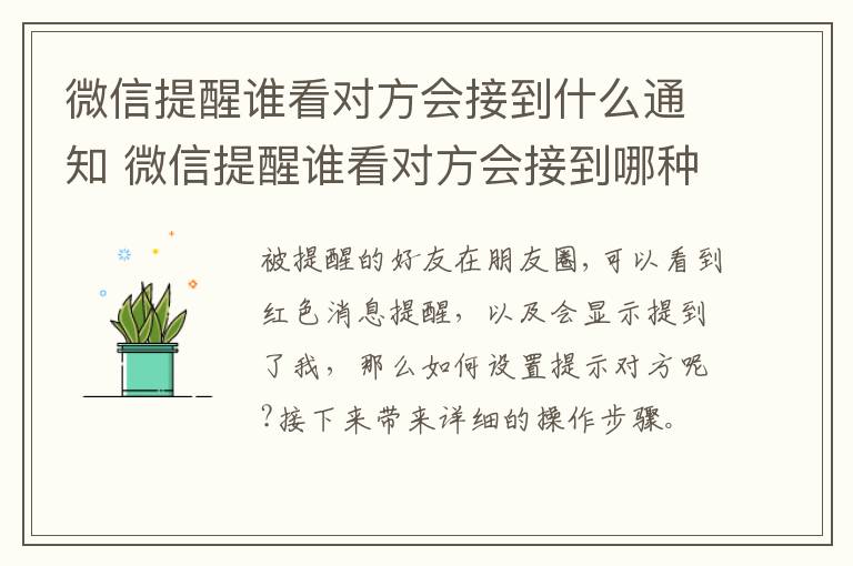 微信提醒谁看对方会接到什么通知 微信提醒谁看对方会接到哪种通知