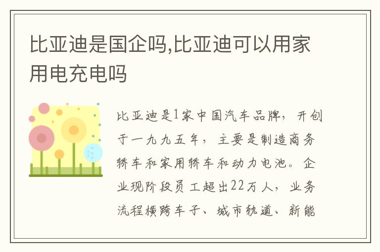 比亚迪是国企吗,比亚迪可以用家用电充电吗