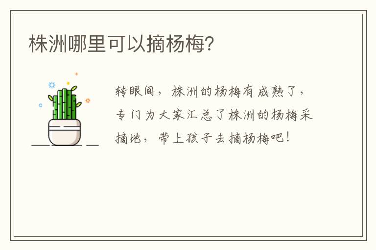 株洲哪里可以摘杨梅？