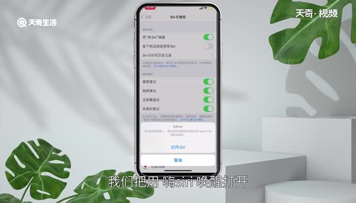 苹果siri怎么设置主人的声音 怎么更改siri主人的声音