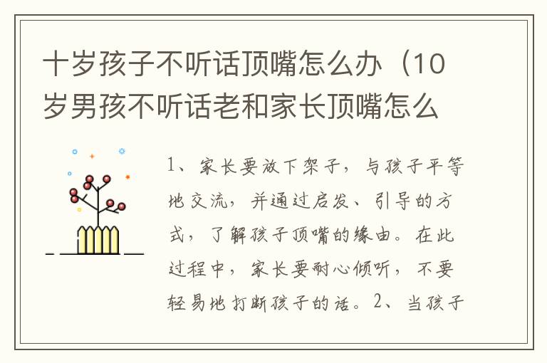 十岁孩子不听话顶嘴怎么办（10岁男孩不听话老和家长顶嘴怎么办）