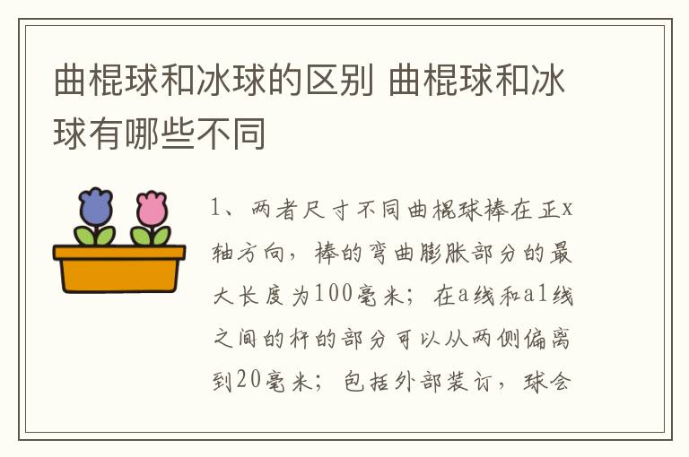 曲棍球和冰球的区别 曲棍球和冰球有哪些不同