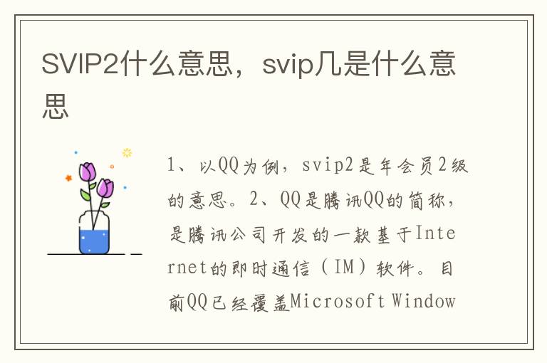 SVIP2什么意思，svip几是什么意思