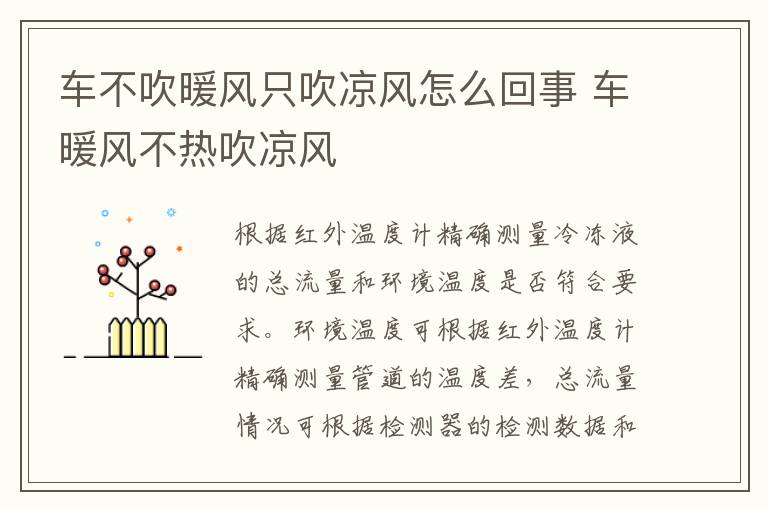 车不吹暖风只吹凉风怎么回事 车暖风不热吹凉风