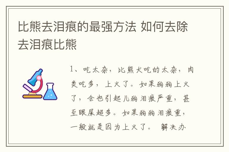 比熊去泪痕的最强方法 如何去除去泪痕比熊