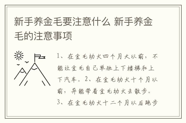 新手养金毛要注意什么 新手养金毛的注意事项